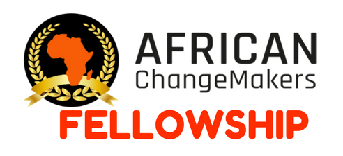 African ChangeMakers Fellowship Program