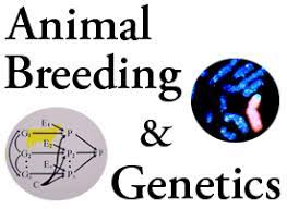 Animal Genetics