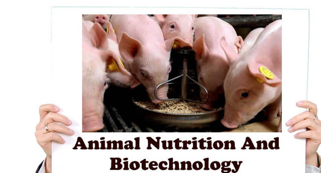 Animal Nutrition