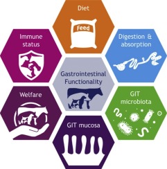 Animal Nutrition