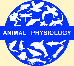 Animal Physiology