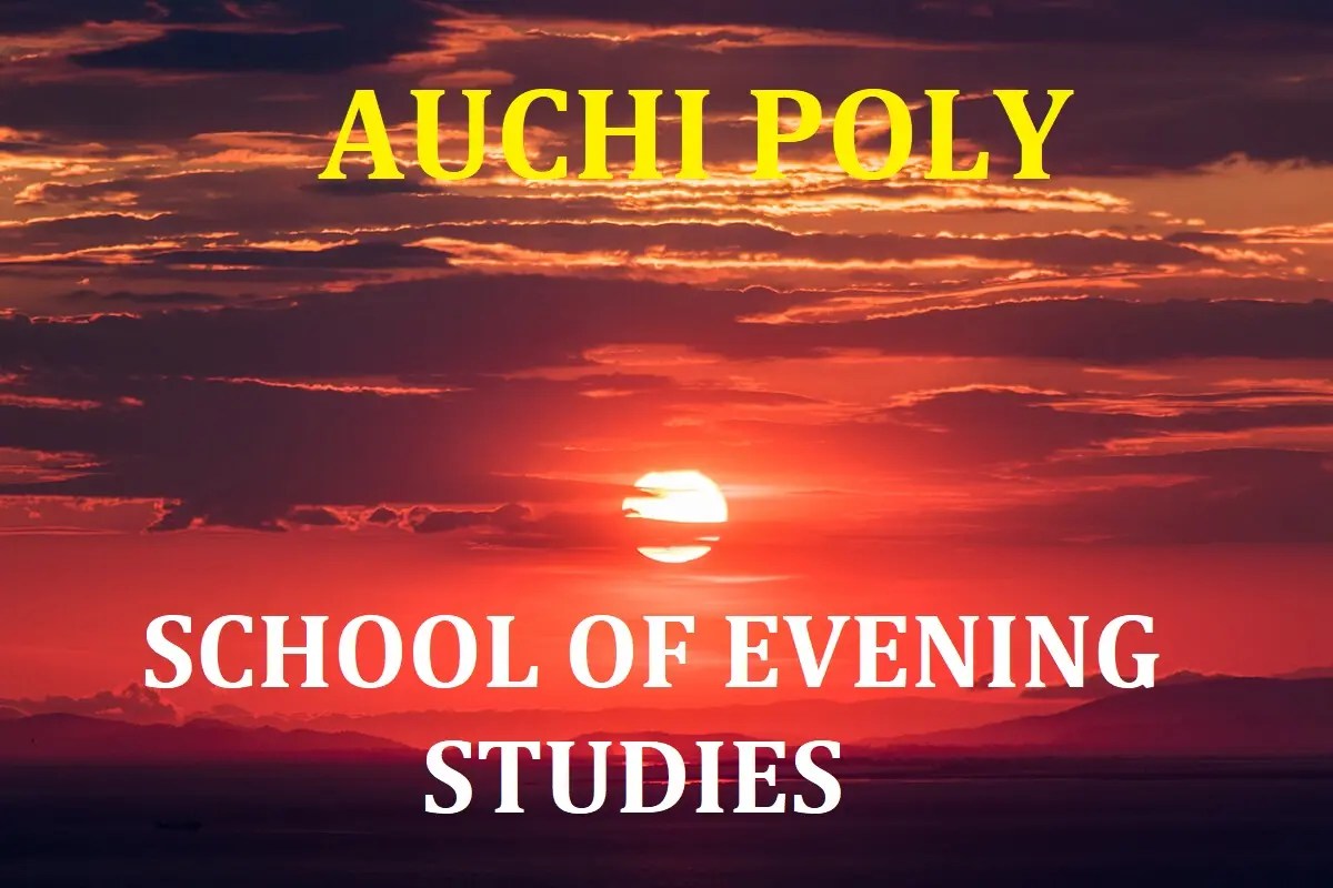 Auchi Poly School Of Evening Studies (SES) Courses And Requirements