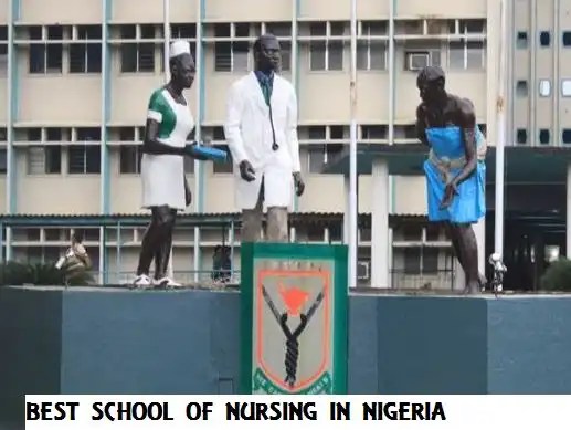 List Of Top Best School Of Nursing In Nigeria - 2024 Updated List