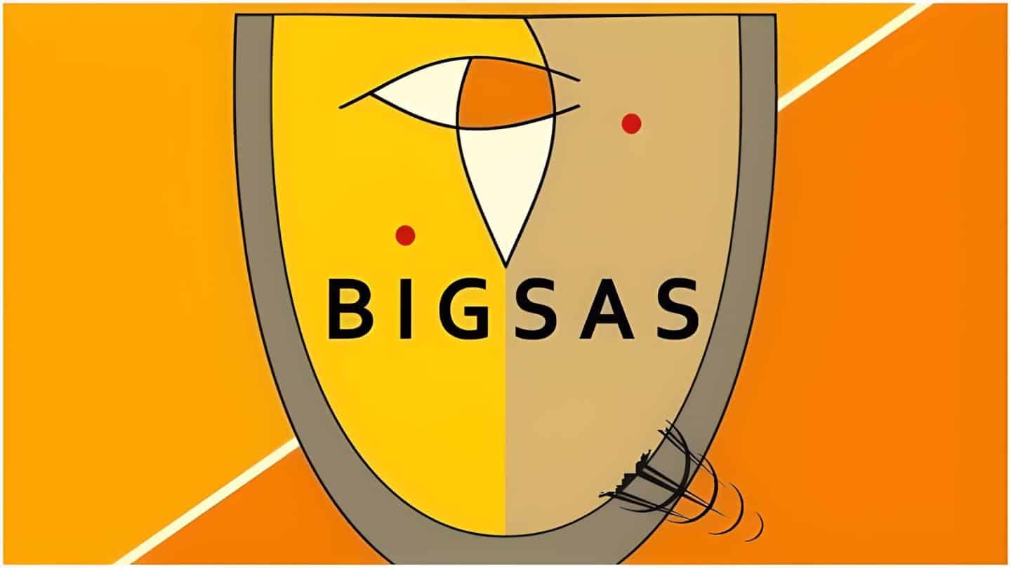 BIGSAS Scholarships for African Women Scholars 2024