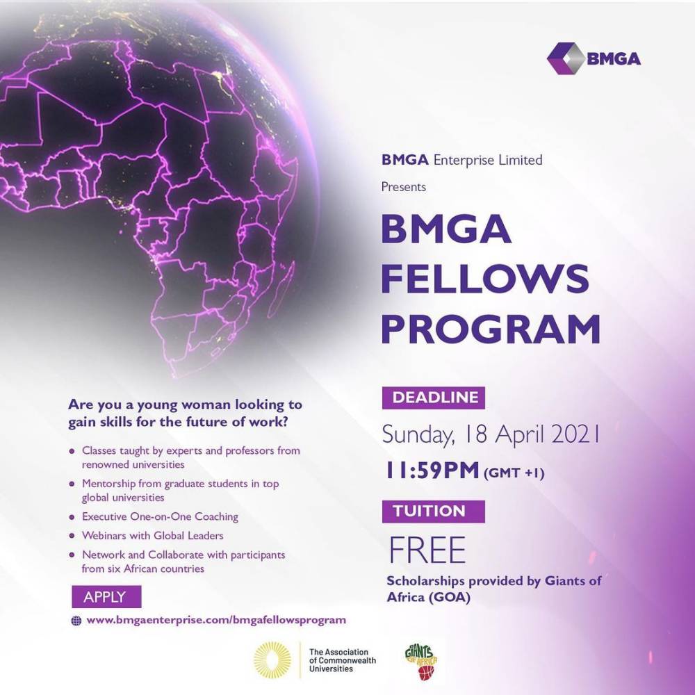 Brand Manager Gbemi Abudu (BMGA) 2021 Fellows Programme