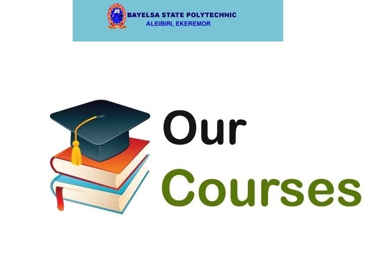 List Of Courses Offered In BYSPOLY & Entry Requirements