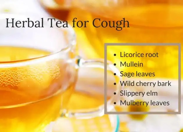 Top 10 Best Herbal Tea For Treatment Of Cough And Their Prices