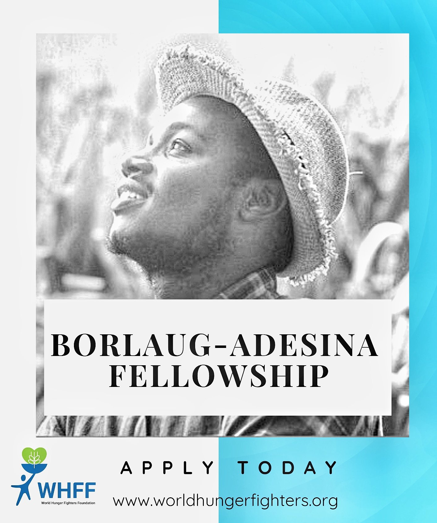 BorlaugAdesina Fellowship Program