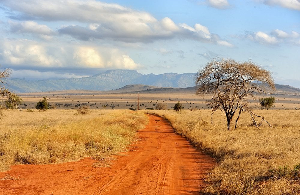 British Ecological Society Ecologists in Africa Grant