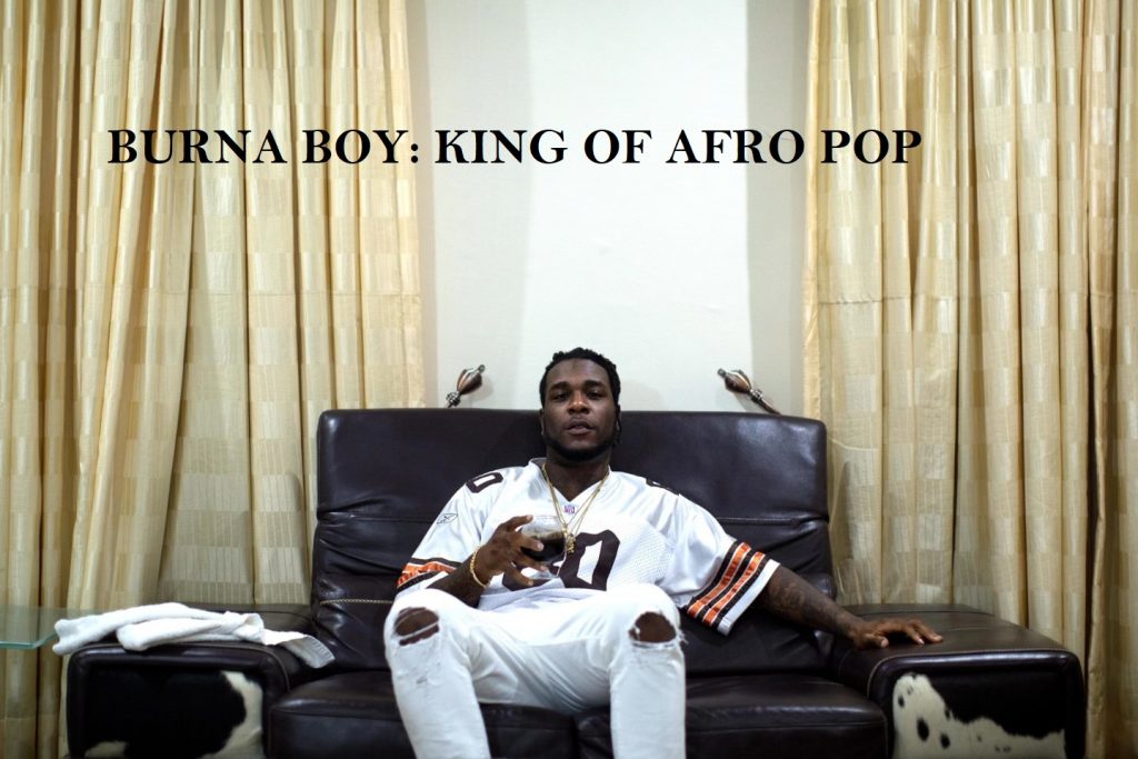 Burna Boy Net Worth Biography Endorsement Deals House Cars year 1