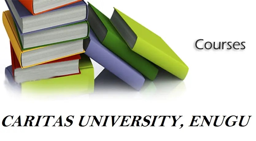 List Of Accredited Courses Offered In Caritas University Enugu