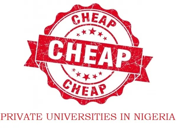 List Of Private Universities In Nigeria With The Cheapest School Fees 2024