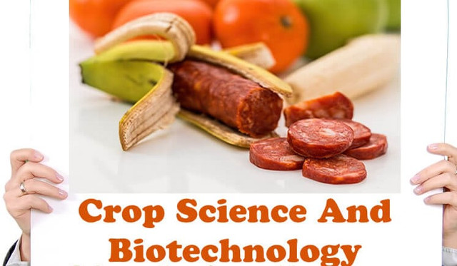 OLevel And UTME Subjects Combination for Studying Crop Science Biotechnology 1