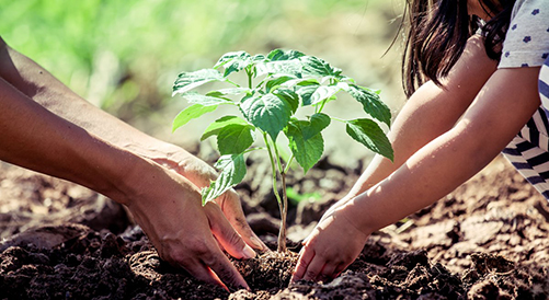 Crop Science