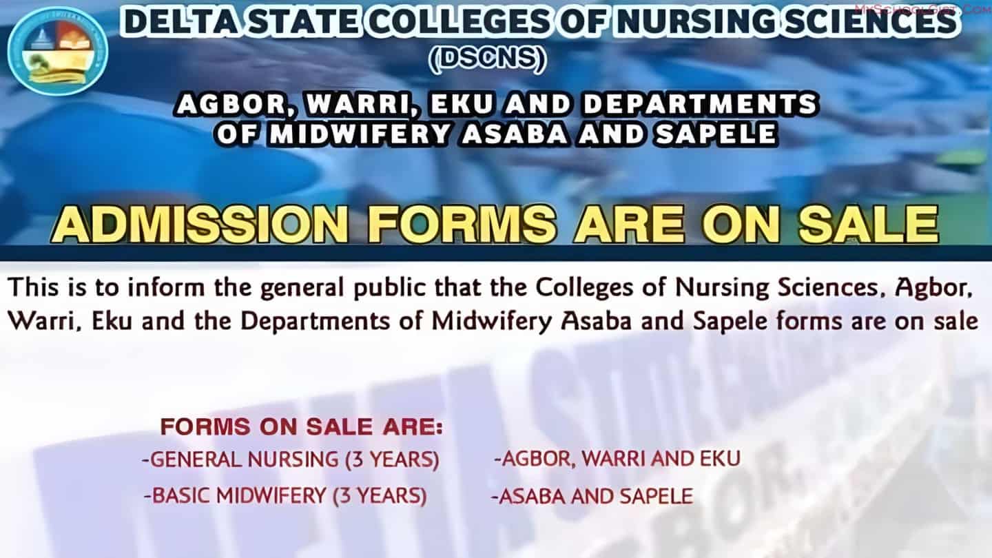 Delta State Schools of Nursing Admission Form 2023/2024