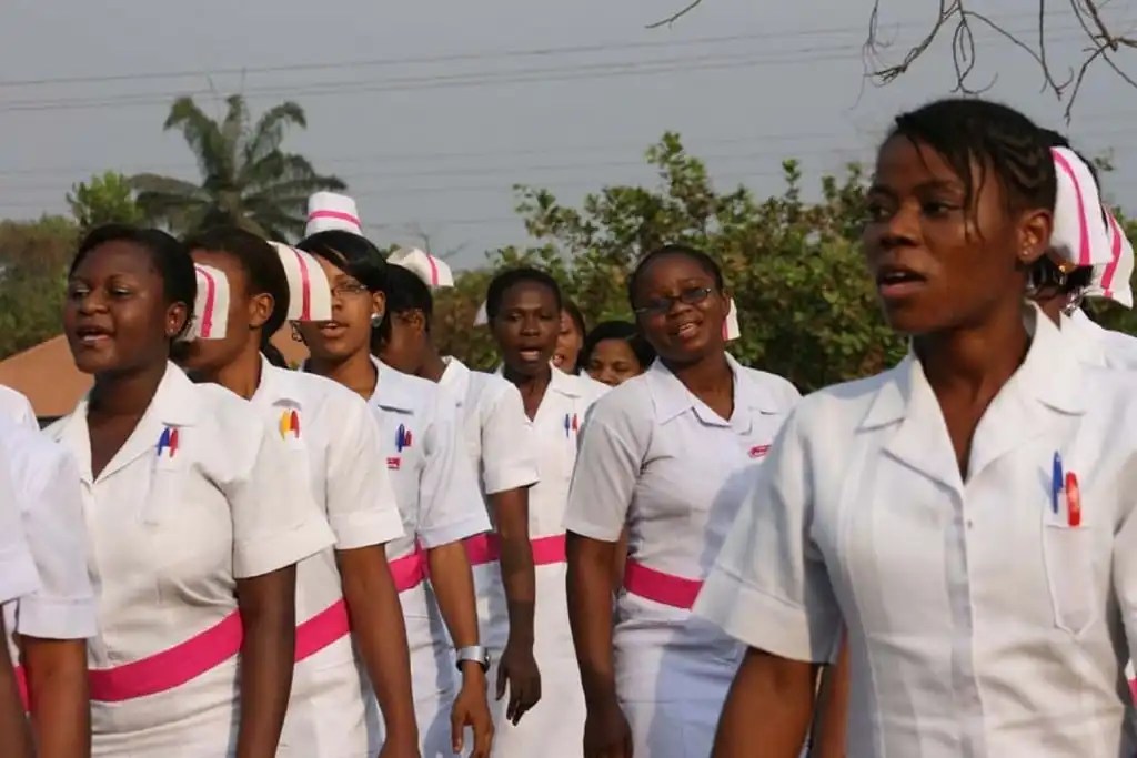 Delta State School Of Nursing Agbor Basic Nursing School Fees 2024/2025 Session