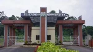 List Of Most Competitive Courses Offered In Elizade University