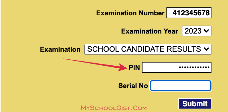 Enter WAEC Result Checker PIN 2023