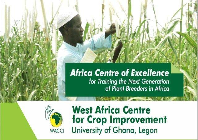 WACCI Plant Breeding Scholarships 2021 for Sub-Saharan African Students At University of Ghana