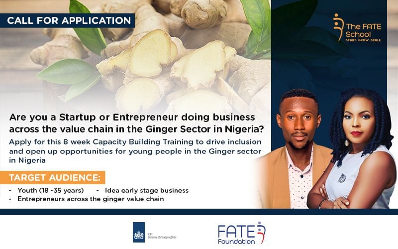 Youth Inclusion in Nigeria’s Ginger Sector Training Programme 2022