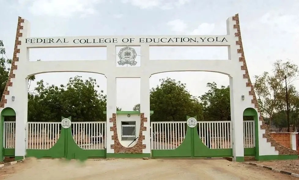 List Of Accredited Courses Offered In Federal College Of Education, Yola - FCE Yola