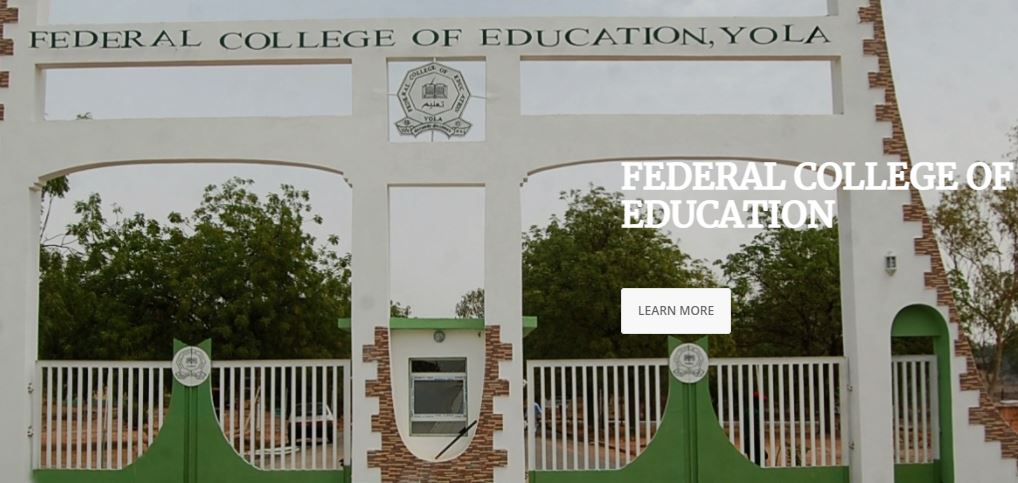 FCE Yola Post UTME Admission Form 2024/2025 Session Out - How To Apply