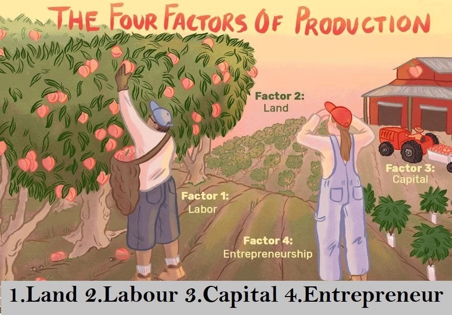 Factors Of Production: Definition, What Are The Factors Of Production & All You Need To Know