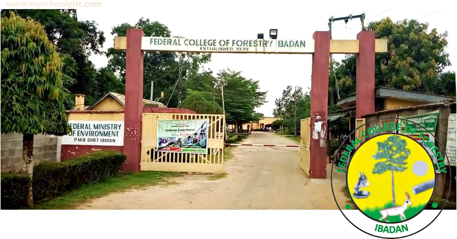 Federal College Of Forestry Ibadan Admission List 2022/2023