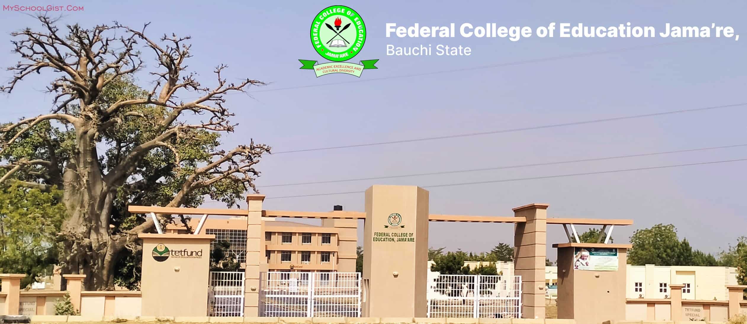 Federal College of Education, Jama'are Admission Form 2023/2024