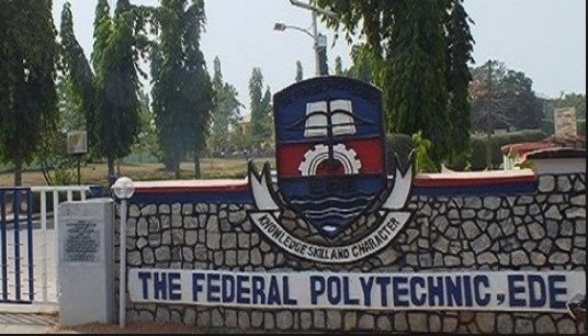 Federal Poly Ede Admission List For All Batches 2024/2025 Academic Session - How To Check