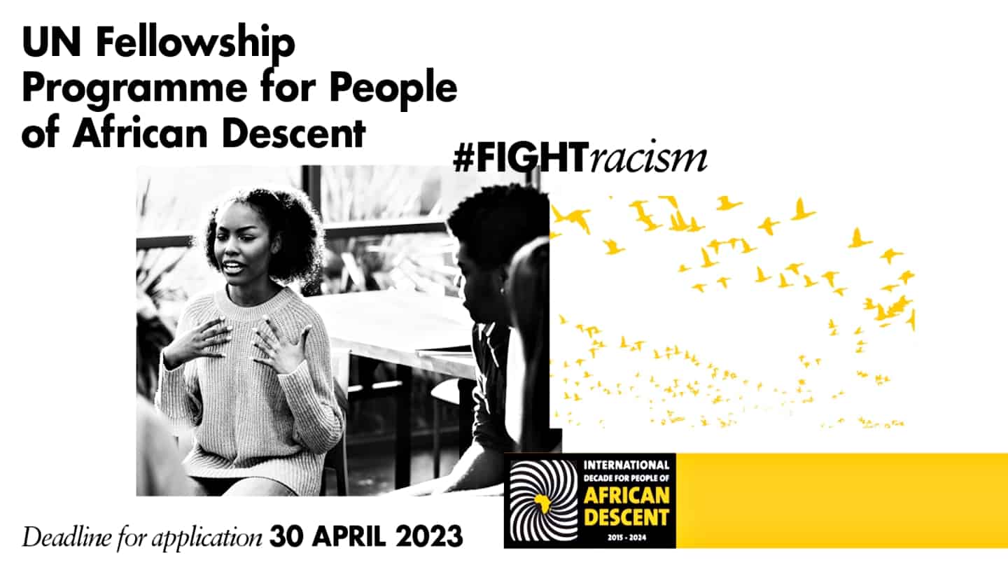 UN OHCHR Fellowship Programme 2023 for African Descent