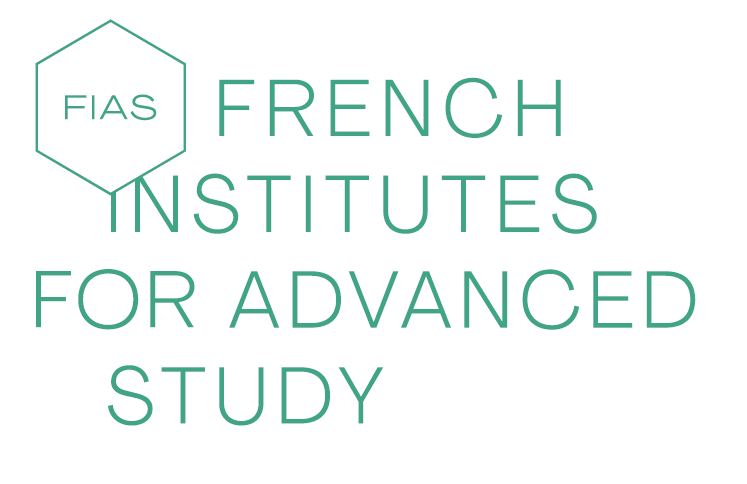 French Institutes for Advanced Study Fellowship Programme