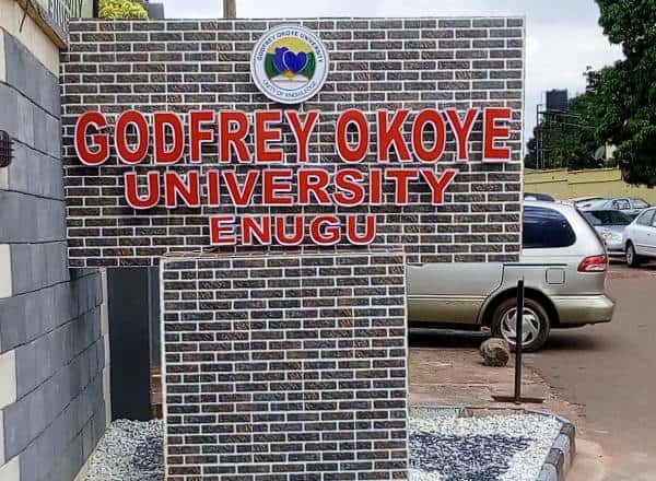 Godfrey Okoye University (GOUNI) Cut-Off Mark 2022/2023
