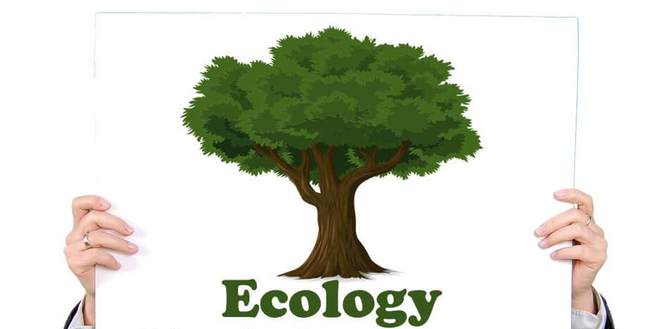 OLevel And UTME Subjects Combination for Studying Ecology in Nigeria