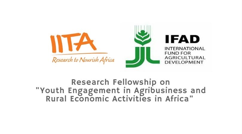 IITA Research Fellowship