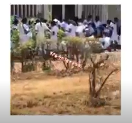 UNN nursing students seen writing a test under the sun (video)