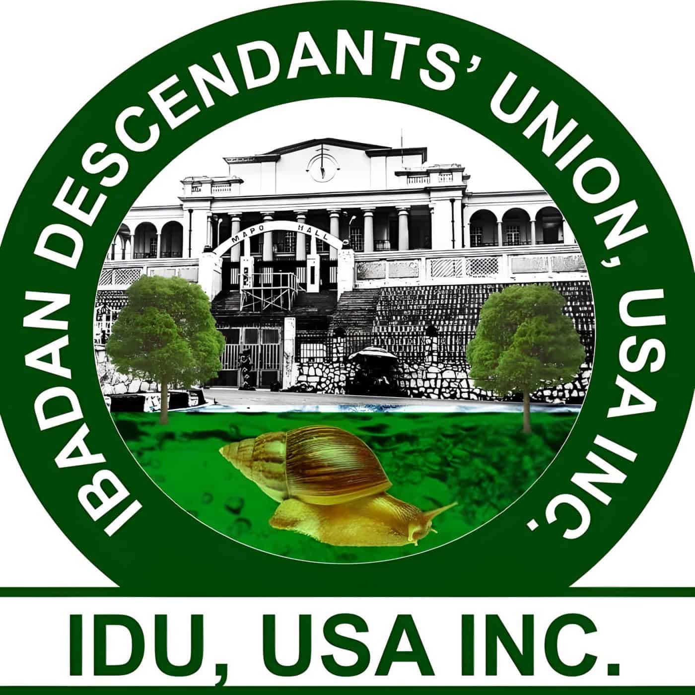 Ibadan Descendants' Union (IDU) Scholarship 2024