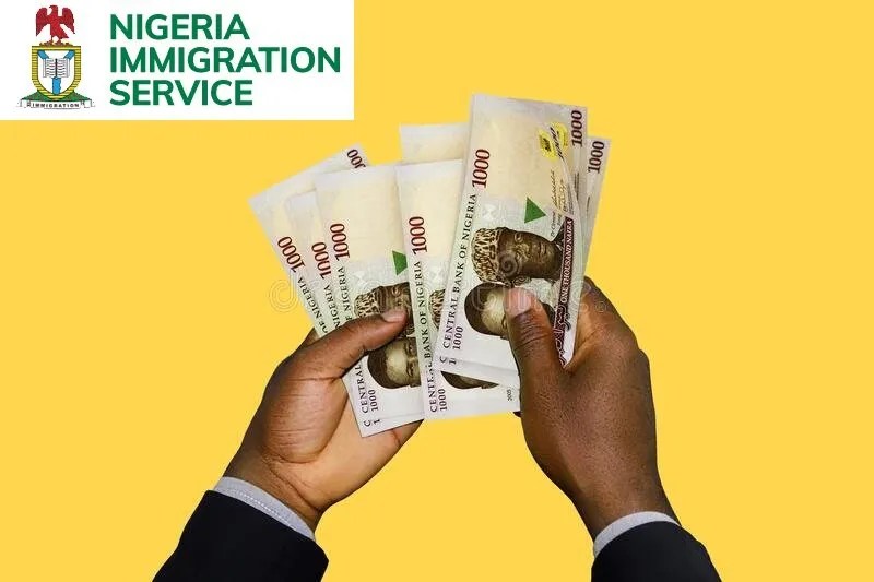 Nigeria Immigration Service (NIS) Monthly Salary Structure For All Ranks (2024)