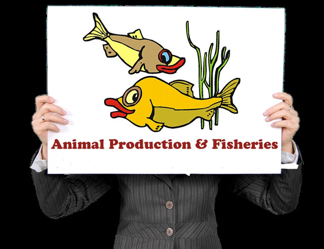 Animal Production and Fisheries