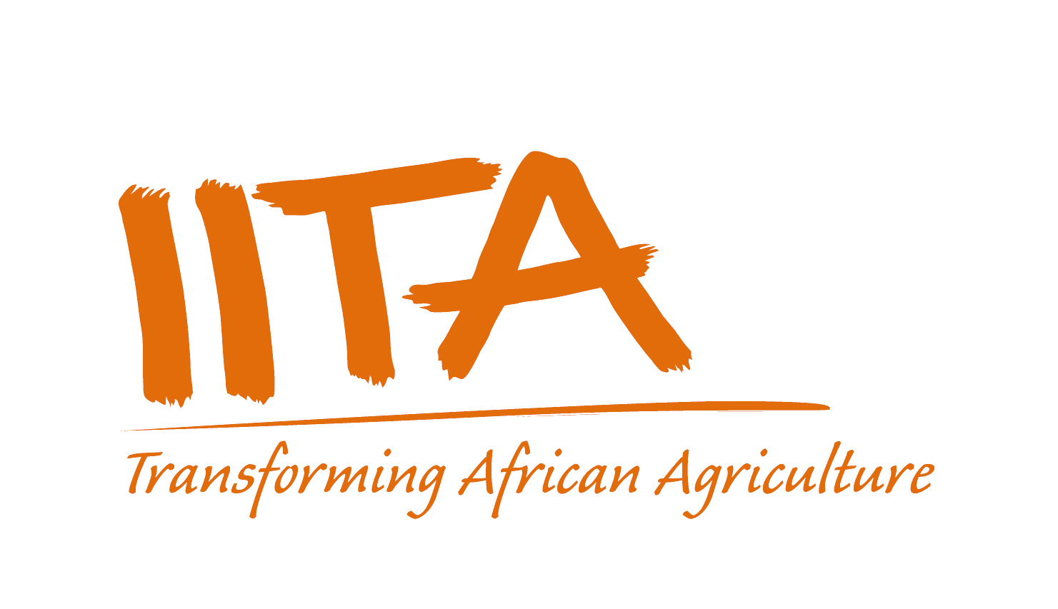 IITA Latest Recruitment in Nigeria - 3 Positions Available