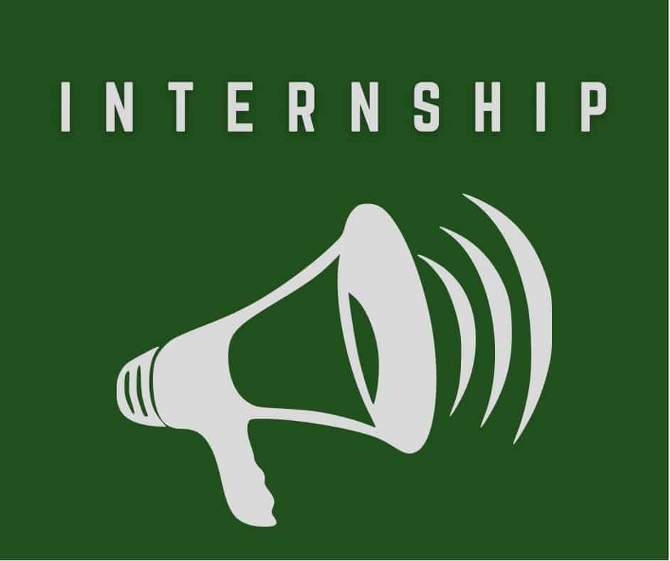 Whogohost 2022 Graduate Internship Program