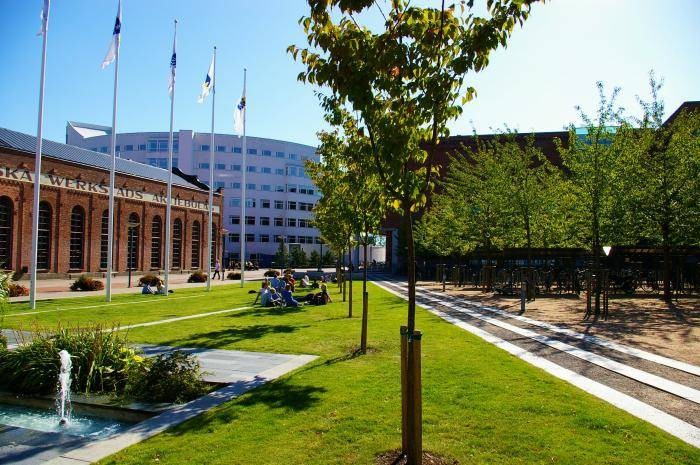 Erasmus  Scholarships for Studies at Jnkping University  Sweden, 2021