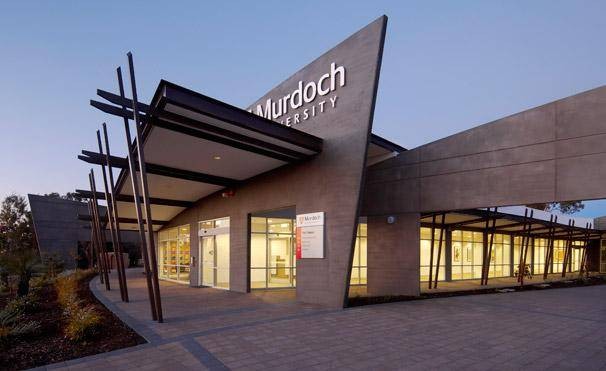 IT Discipline Top-up Scholarship 2022 at Murdoch University – Australia