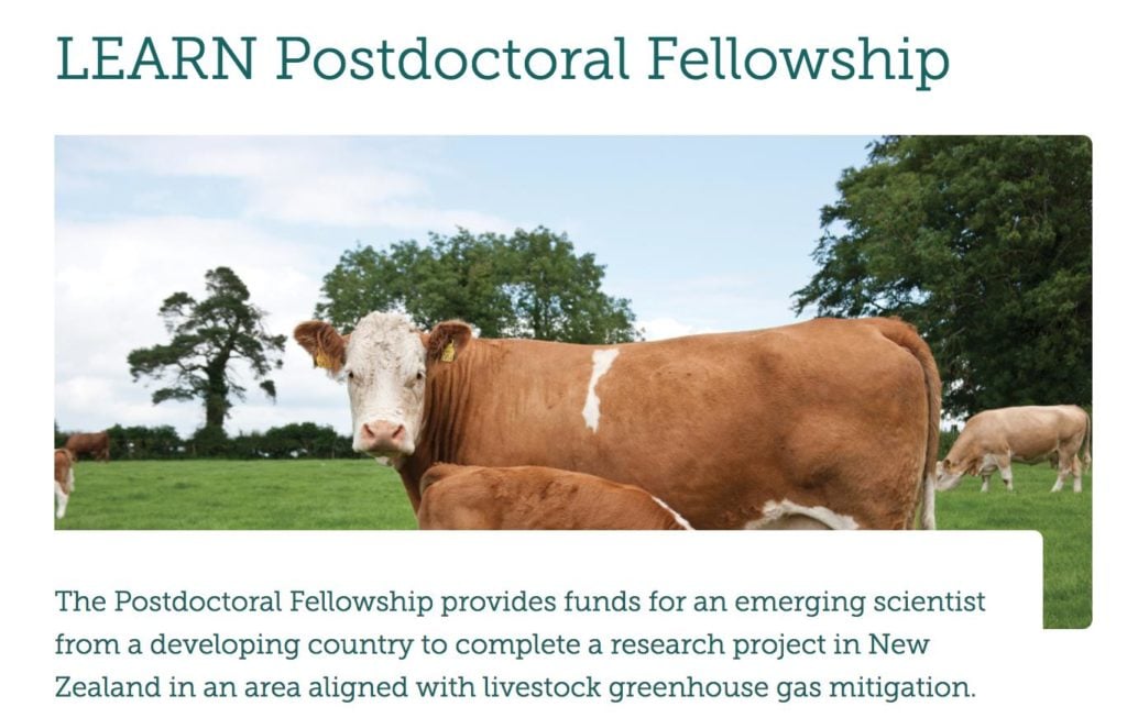 LEARN Postdoctoral Fellowship