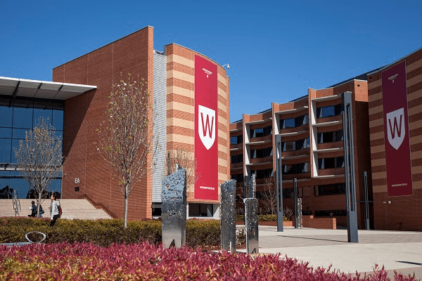 2020 Vice-Chancellor’s Academic Excellence Financial Aid At WSU - Australia