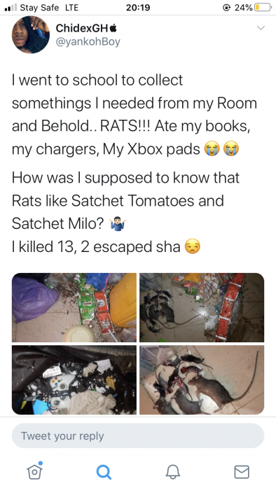 Rats Leave ABSU Student in Awe