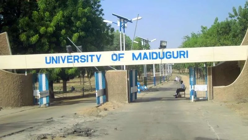 List Of Less Competitive Courses In UNIMAID