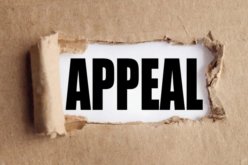 10 Sample Letter Of Appeal For Reconsideration (Templates With Examples)