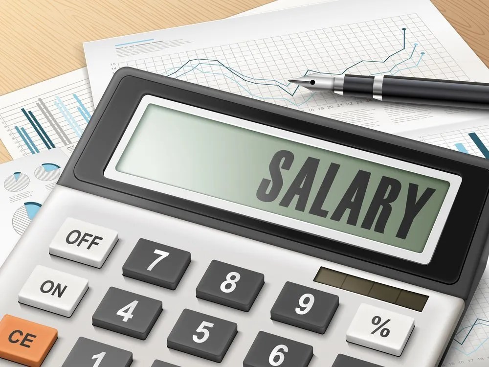 List Of Government Agencies In Nigeria And Their Salary Structures (2024)