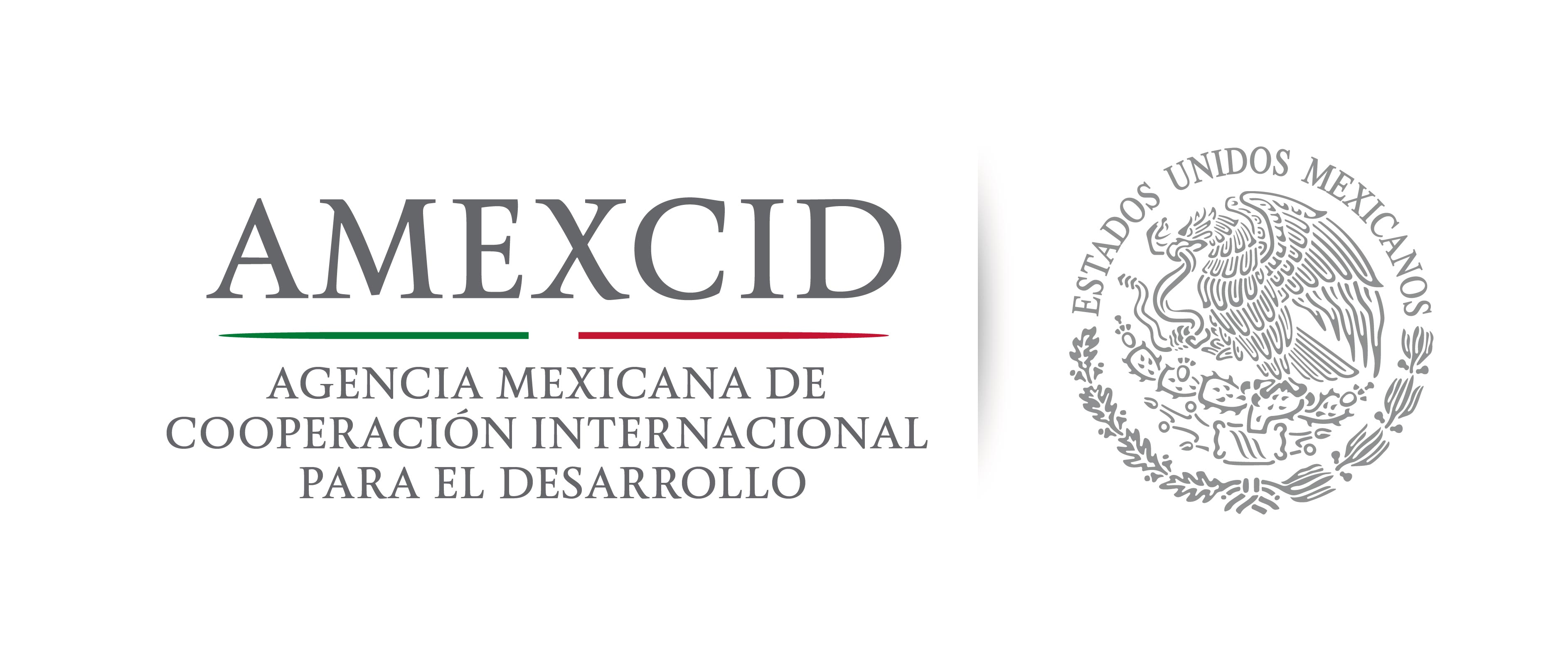 Mexican Government Scholarship